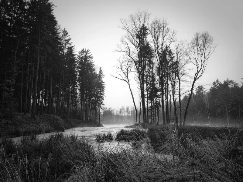 photo-65.webp
