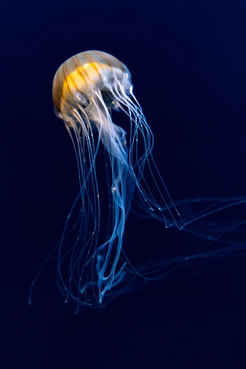 photo-64.webp